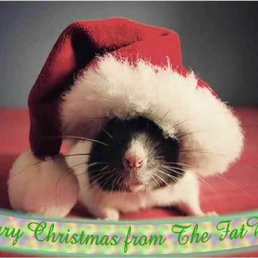 fatratz christmas