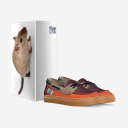Fat Ratz-shoes-with_box.jpg