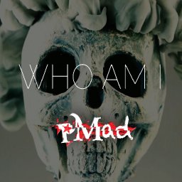 pMad - Who Am I single cover.jpg