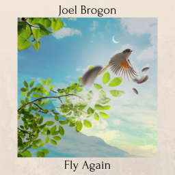 Fly Again.png