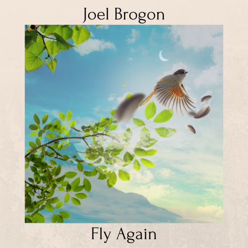 Fly Again