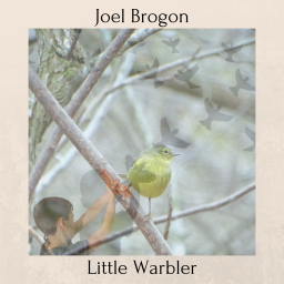 Little Warbler art.png