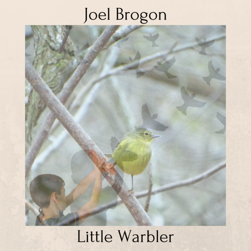 Little Warbler art