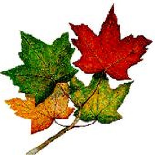 KEEP THE GREEN ALIVE !!!!