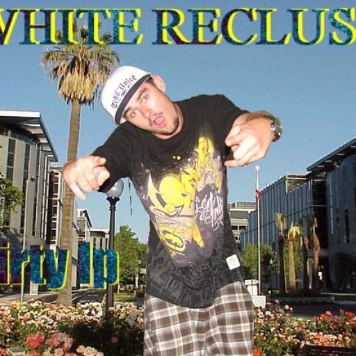 The White Recluse