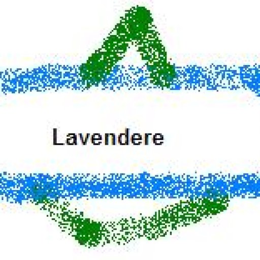 Lavendere