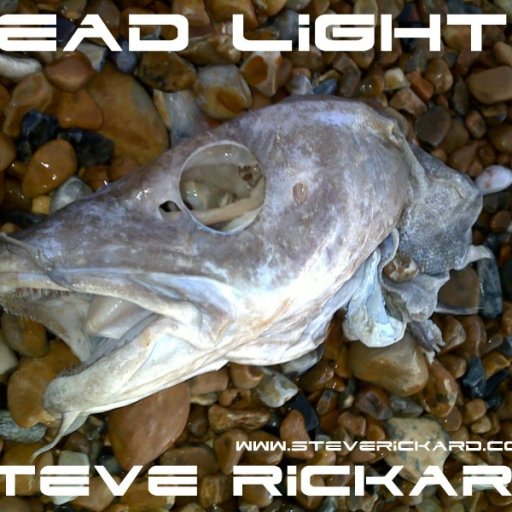 Steve Rickard