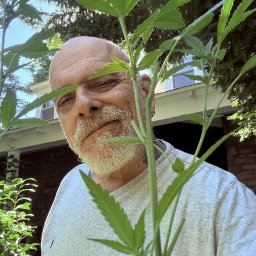 Rich Lodato