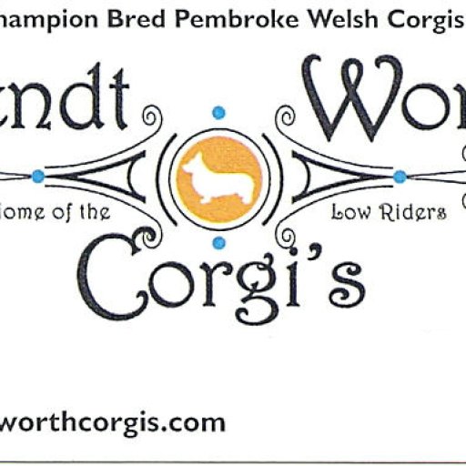 Wendt Worth Corgis