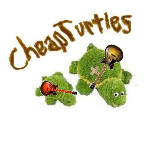 Cheap Turtles