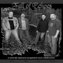 Fall Of Echoes