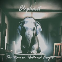 Darren Holland Project