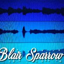 BlairSparrow 