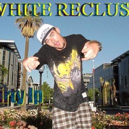 @the-white-recluse