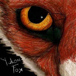 @yukon-fox